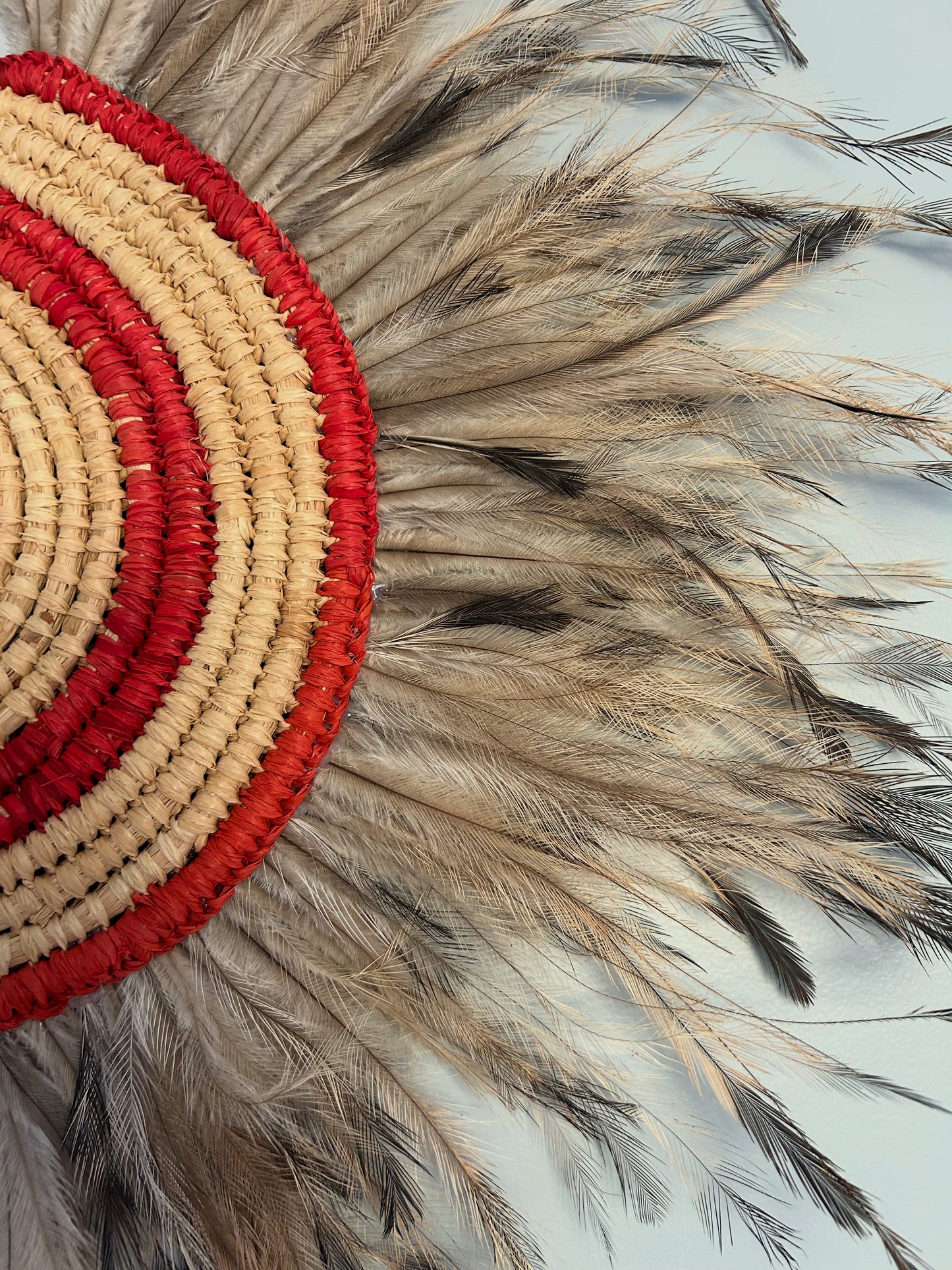 Woven Wall Art - Emu Weaving