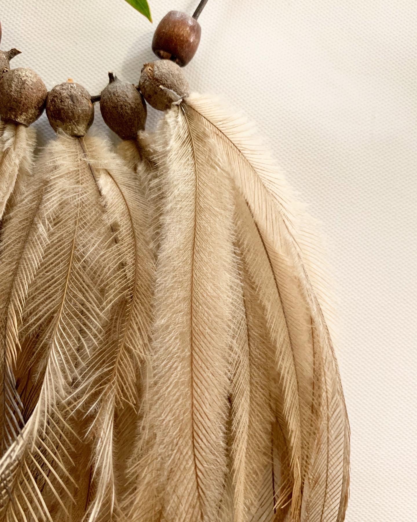 Emu Feather and Gumnut